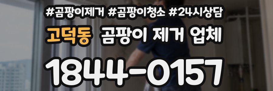 고덕동 곰팡이 제거 업체