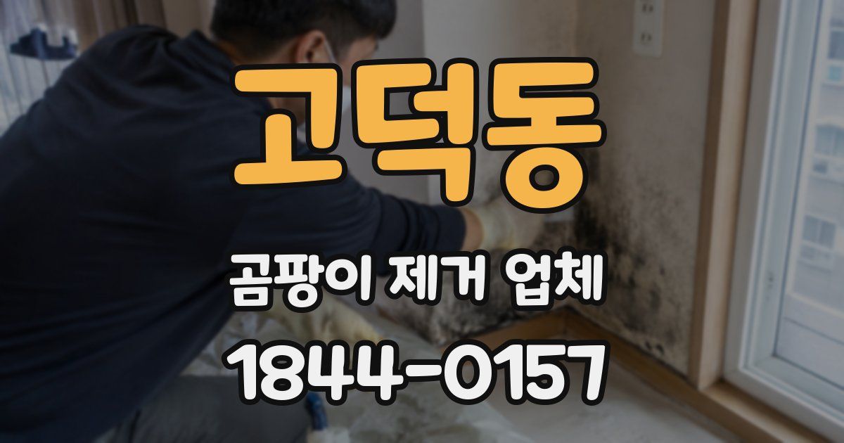 고덕동 곰팡이 제거 업체