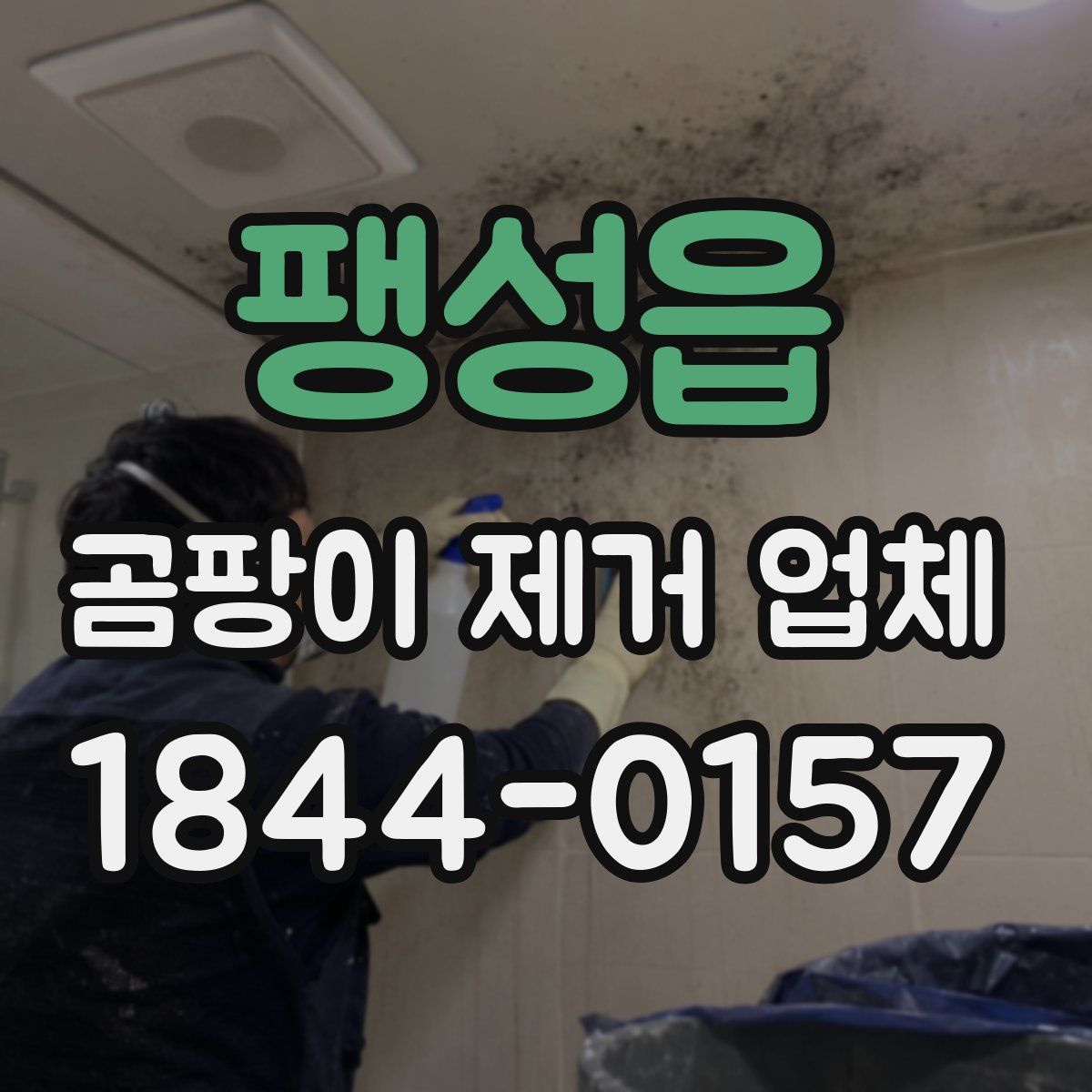 팽성읍 곰팡이 제거 업체