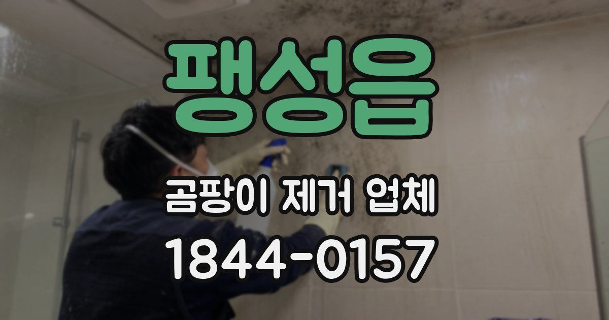 팽성읍 곰팡이 제거 업체