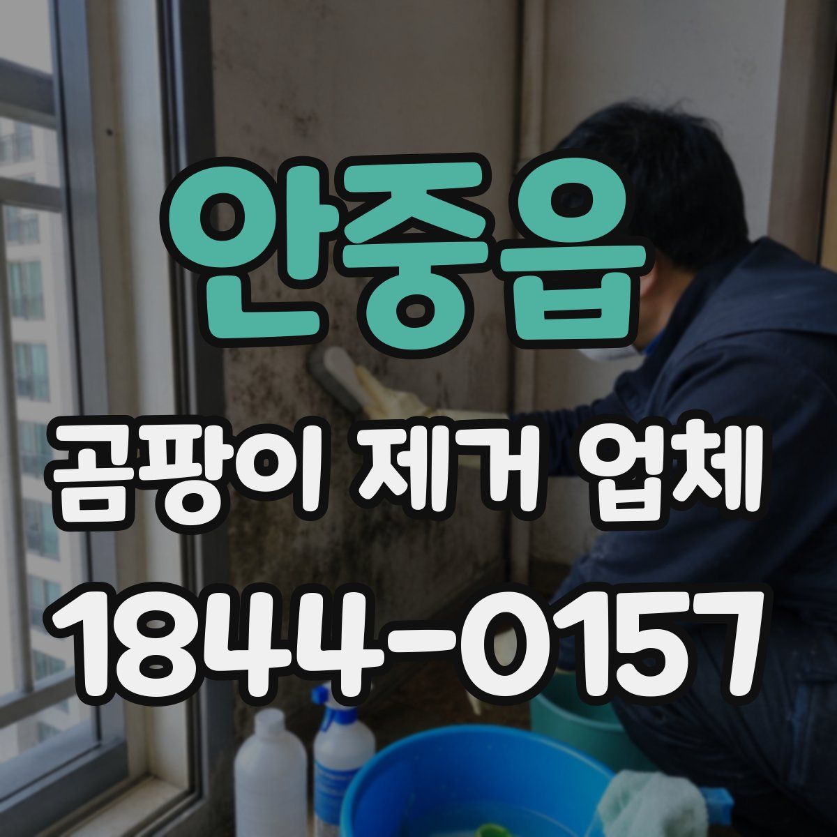 안중읍 곰팡이 제거 업체