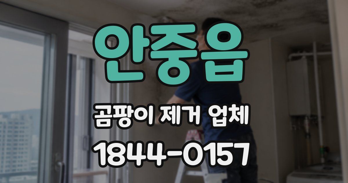 안중읍 곰팡이 제거 업체
