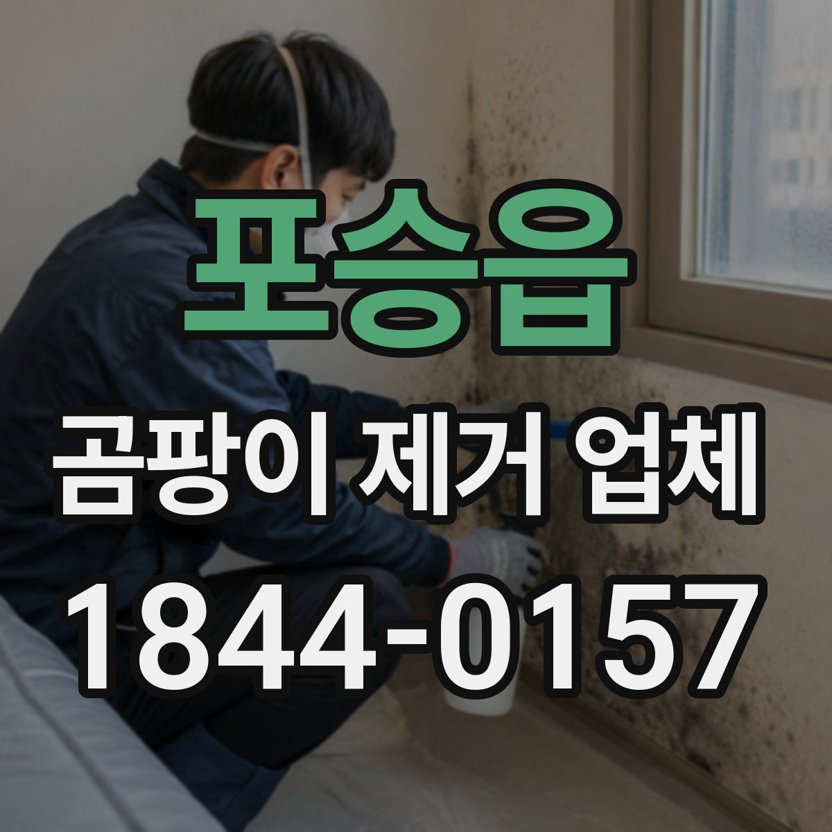 포승읍 곰팡이 제거 업체