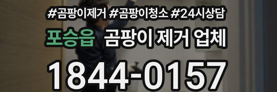포승읍 곰팡이 제거 업체