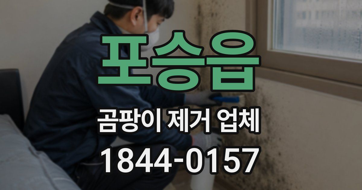 포승읍 곰팡이 제거 업체