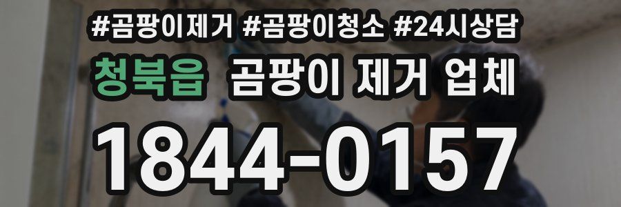 청북읍 곰팡이 제거 업체