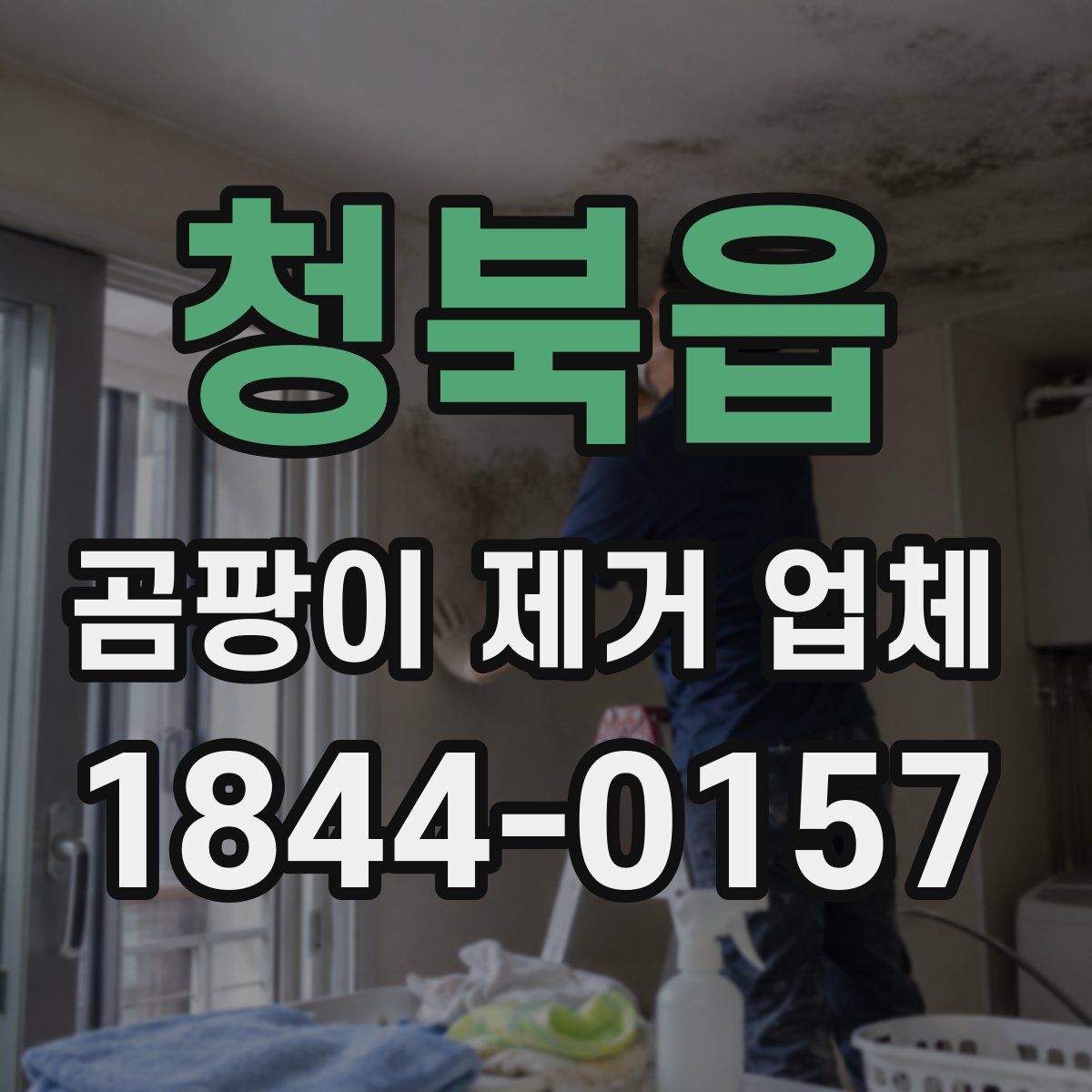 청북읍 곰팡이 제거 업체