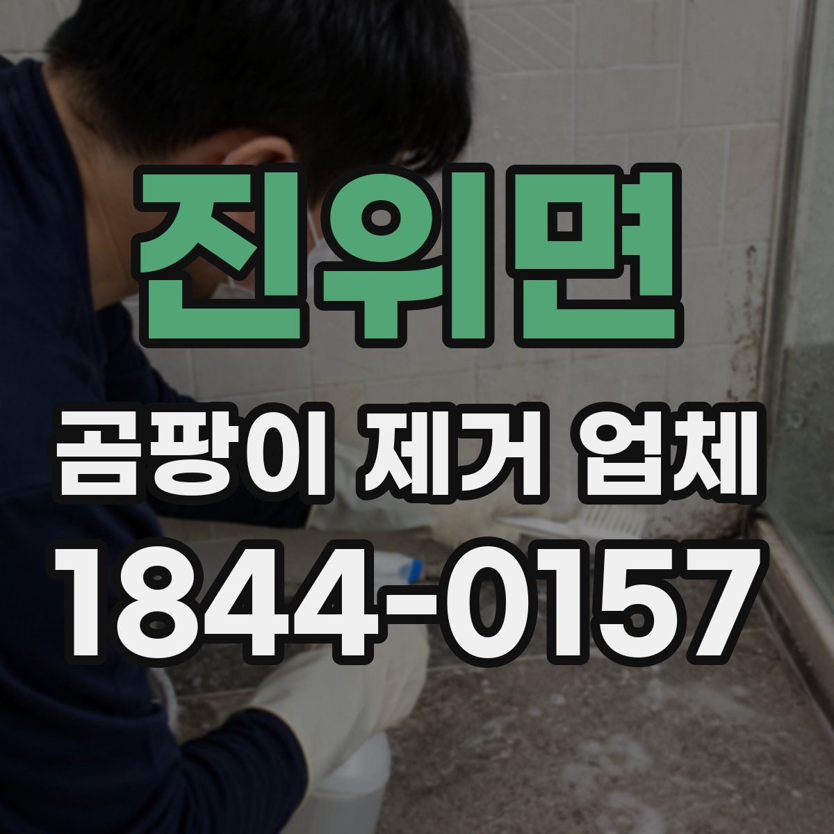 진위면 곰팡이 제거 업체