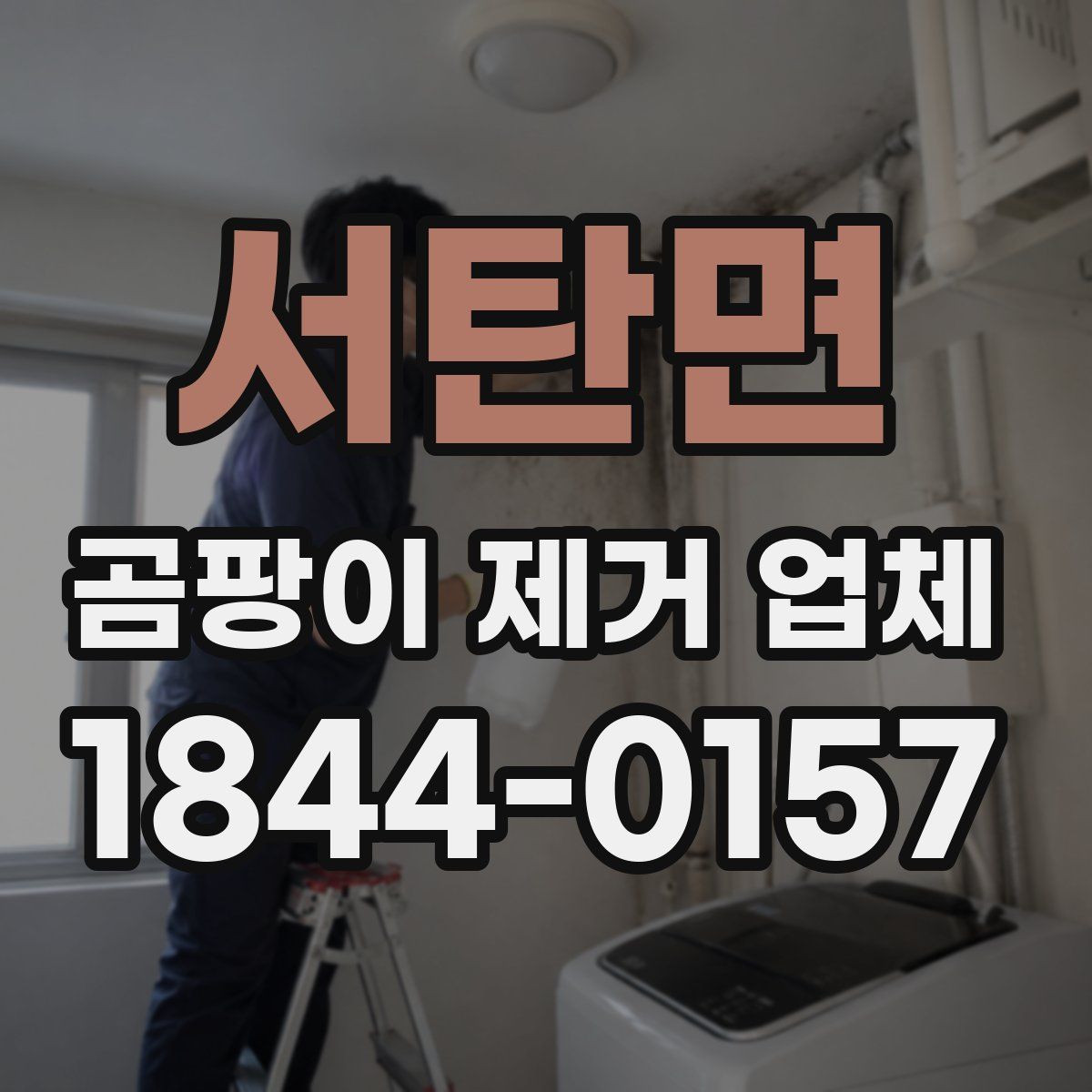 서탄면 곰팡이 제거 업체