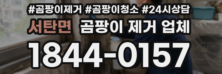 서탄면 곰팡이 제거 업체