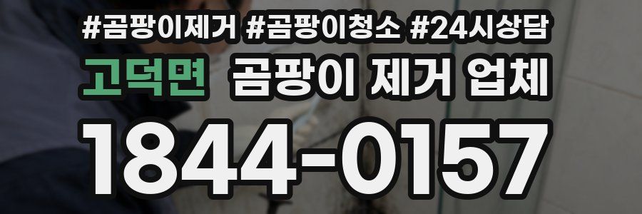 고덕면 곰팡이 제거 업체