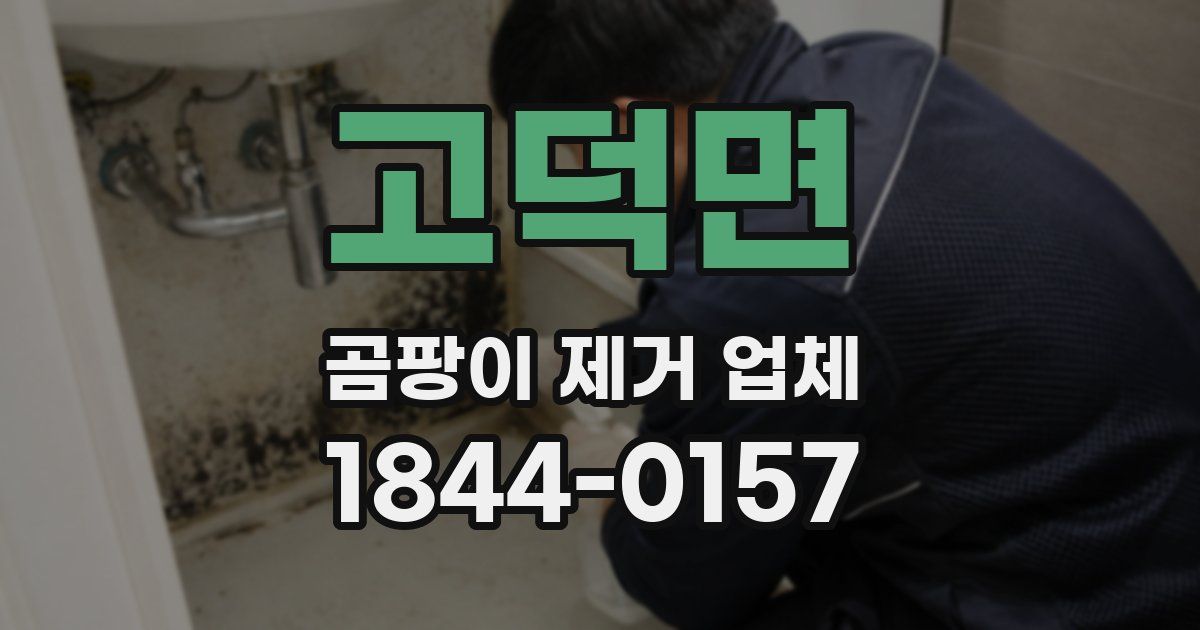 고덕면 곰팡이 제거 업체