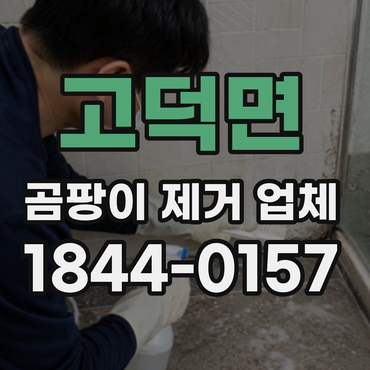 고덕면 곰팡이 제거 업체
