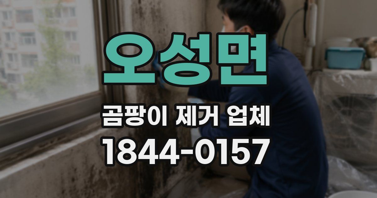 오성면 곰팡이 제거 업체