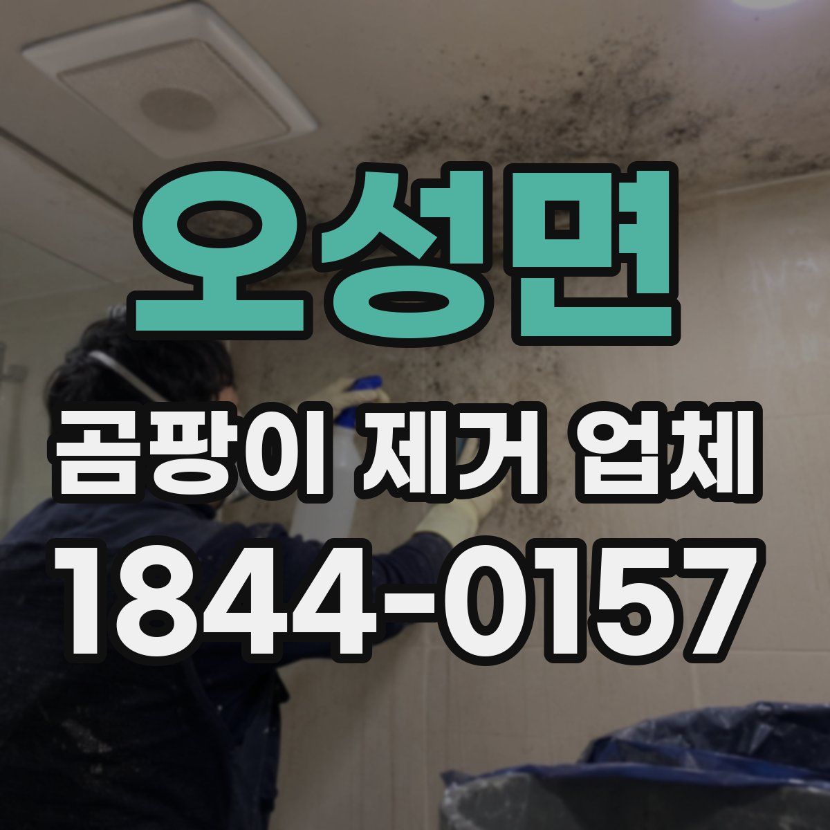 오성면 곰팡이 제거 업체