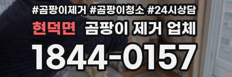 현덕면 곰팡이 제거 업체