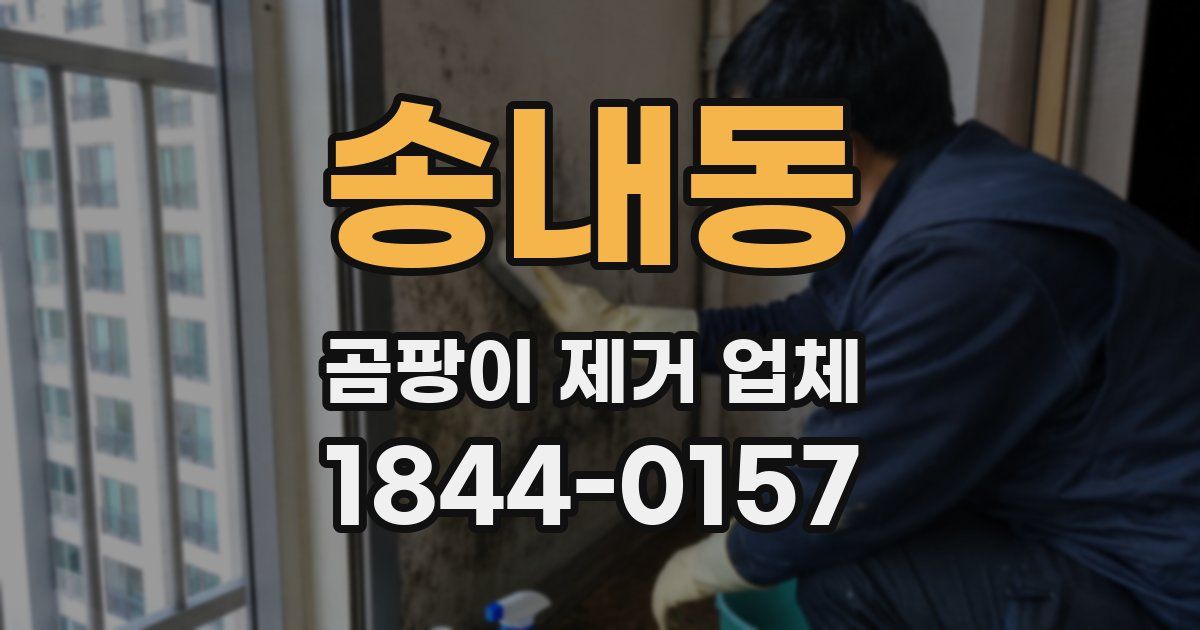 송내동 곰팡이 제거 업체