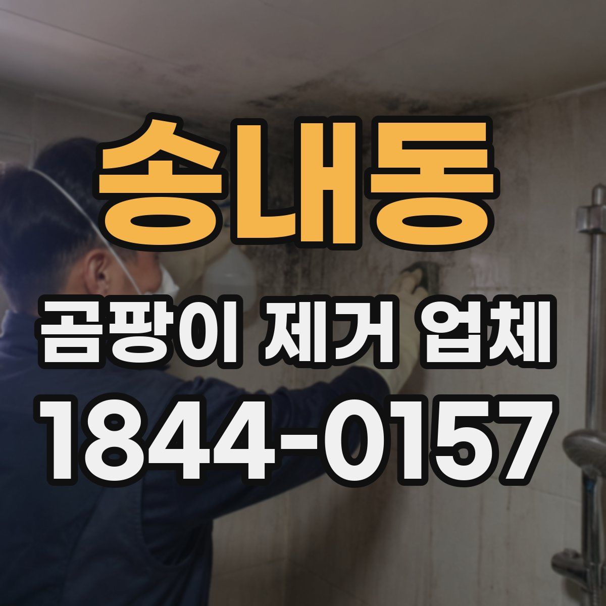 송내동 곰팡이 제거 업체