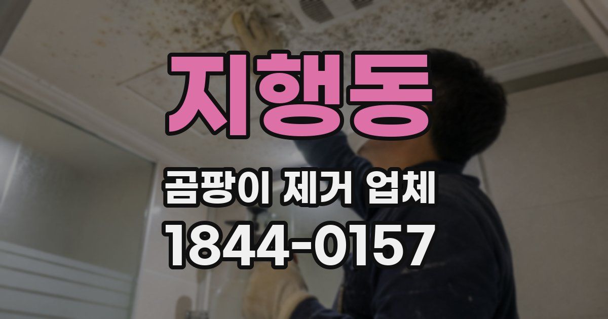 지행동 곰팡이 제거 업체