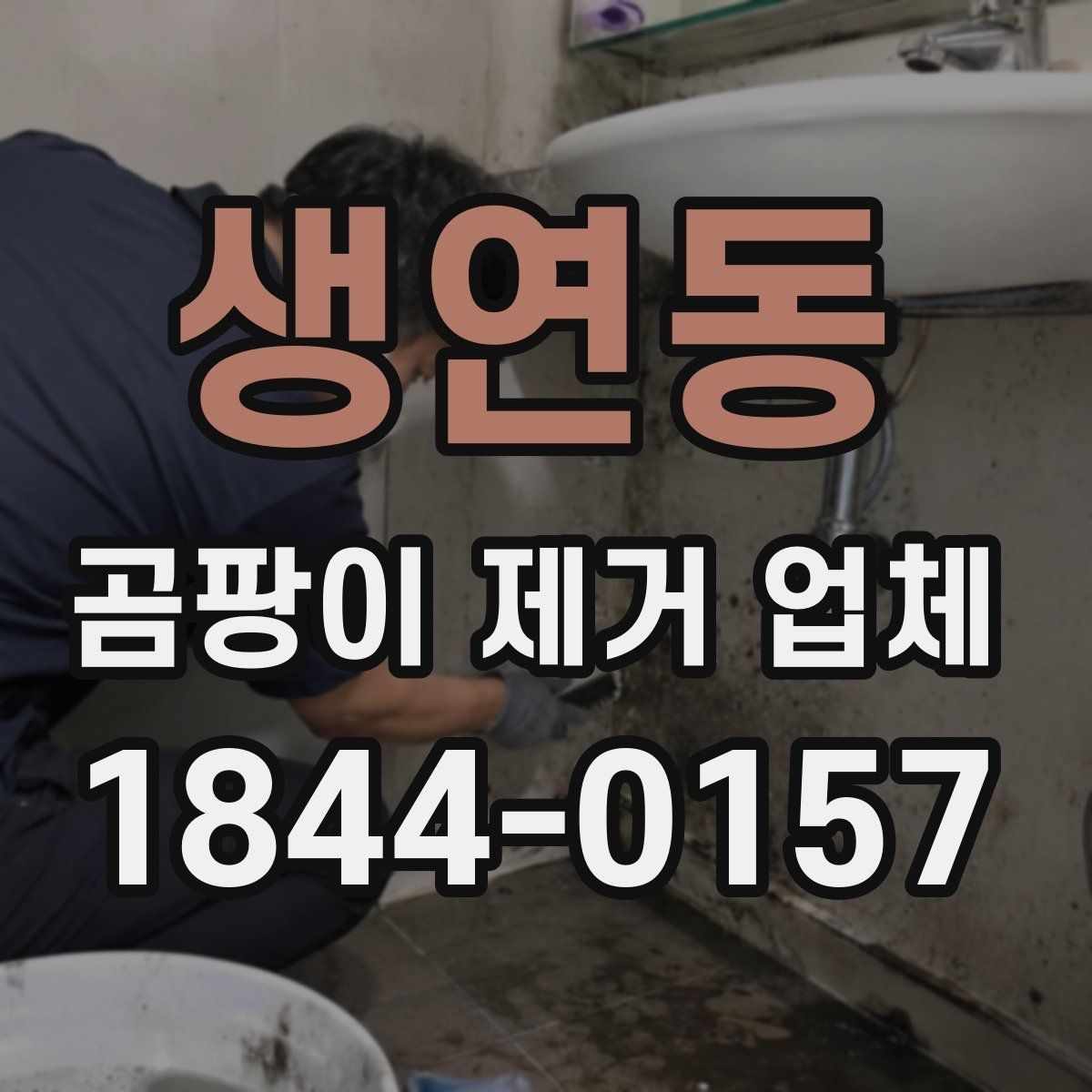 생연동 곰팡이 제거 업체