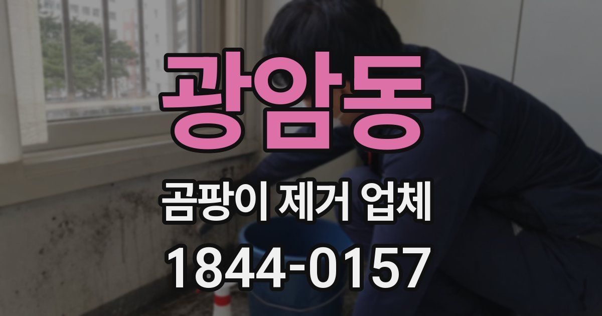 광암동 곰팡이 제거 업체