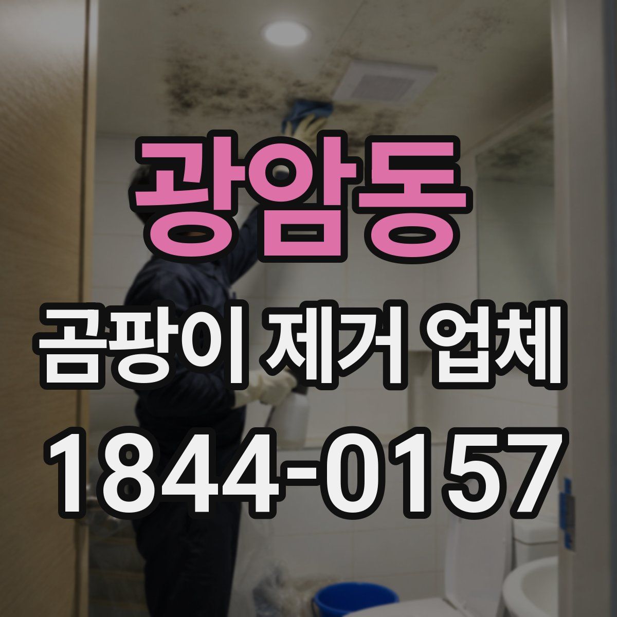광암동 곰팡이 제거 업체