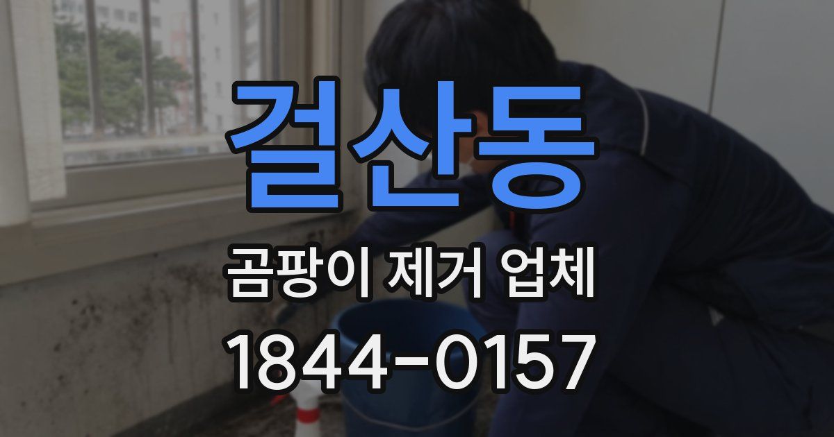 걸산동 곰팡이 제거 업체