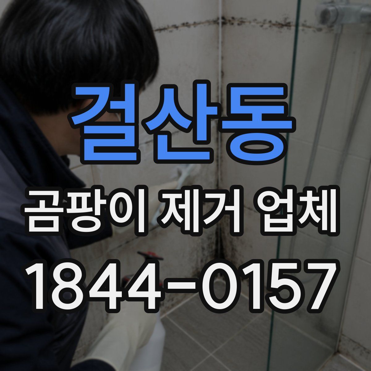 걸산동 곰팡이 제거 업체