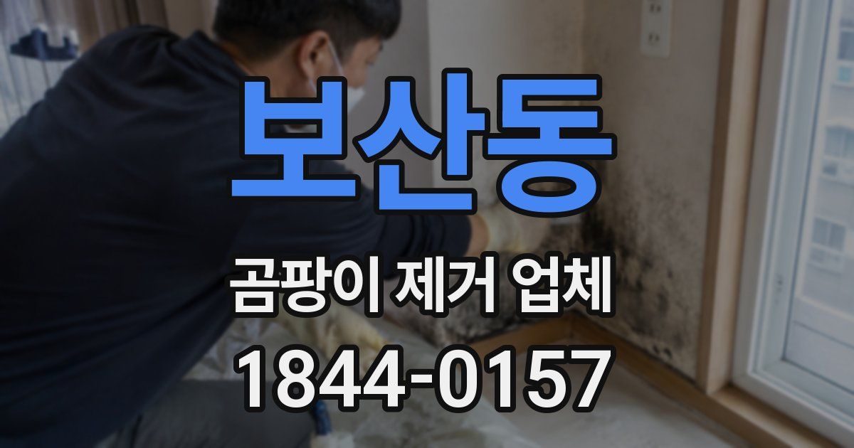 보산동 곰팡이 제거 업체