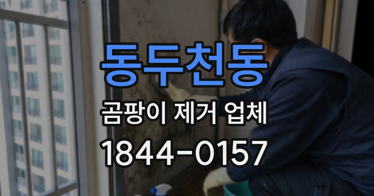 동두천동 곰팡이 제거 업체