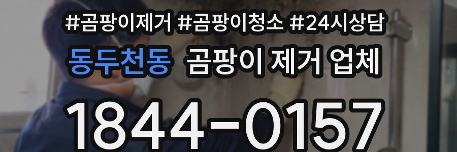 동두천동 곰팡이 제거 업체