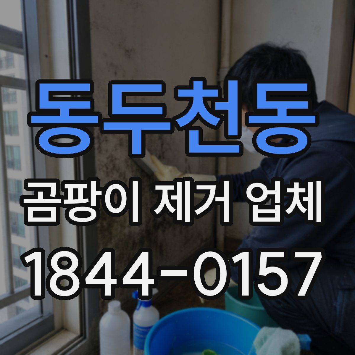 동두천동 곰팡이 제거 업체