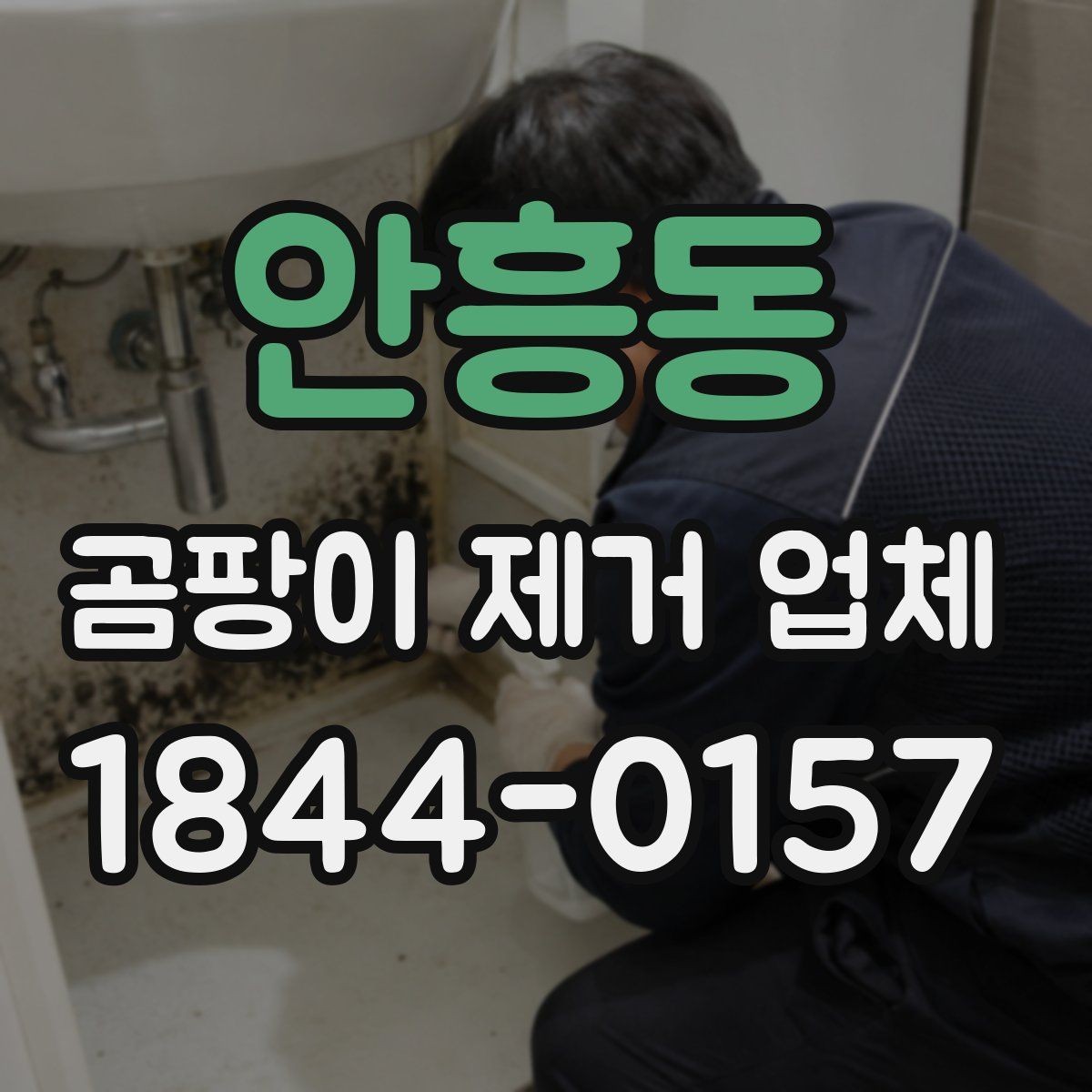 안흥동 곰팡이 제거 업체 방문 진단으로 누수와 결로를 함께 확인하기