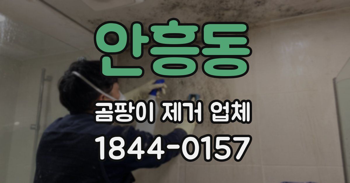 안흥동 곰팡이 제거 업체