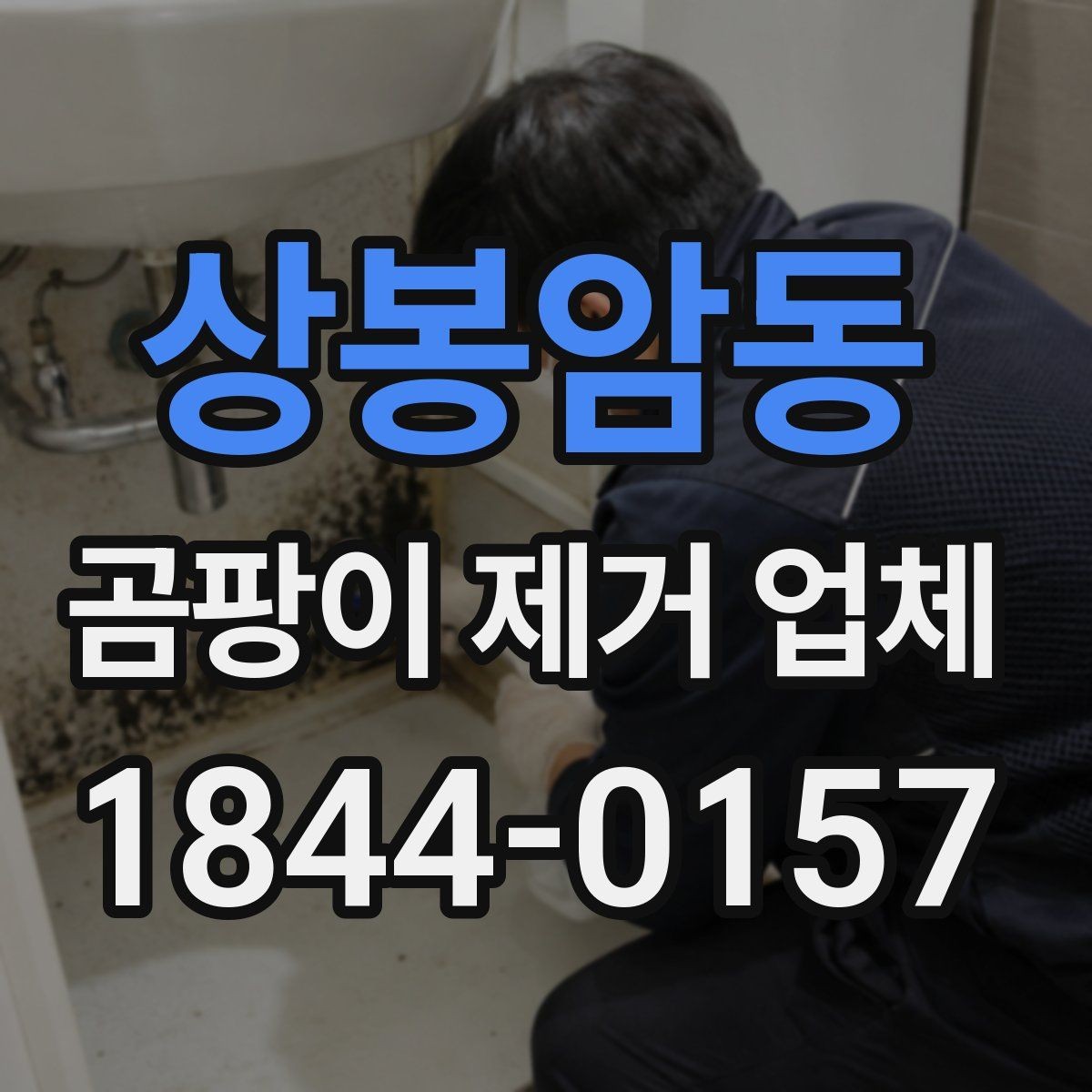 상봉암동 곰팡이 제거 업체 임대 주택 책임 범위 정리하기