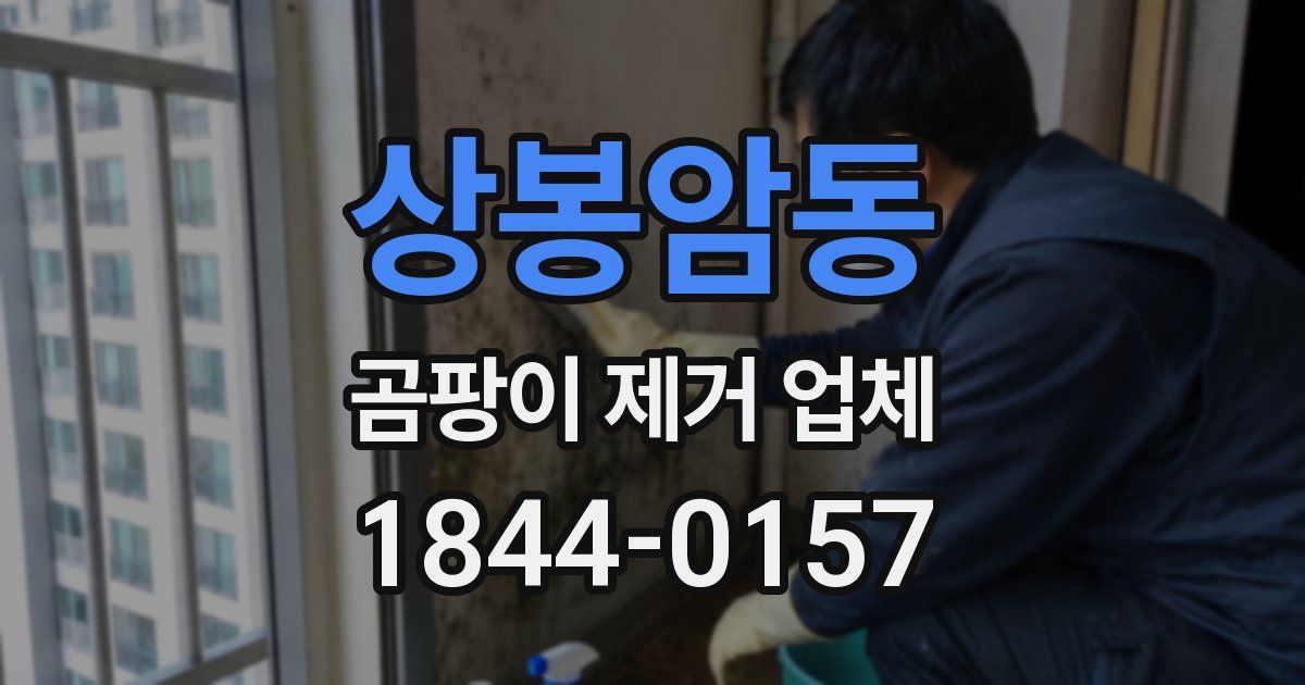상봉암동 곰팡이 제거 업체