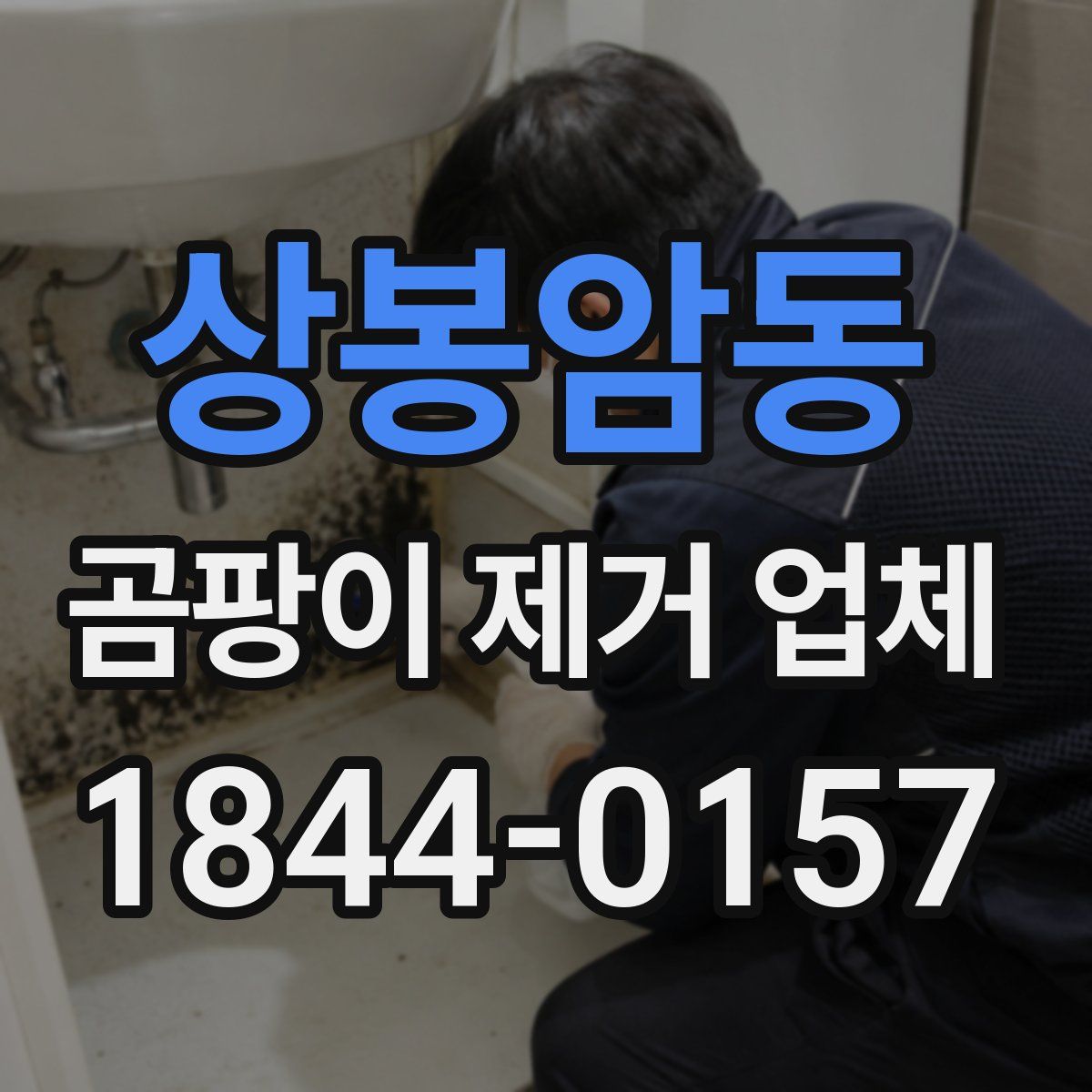 상봉암동 곰팡이 제거 업체