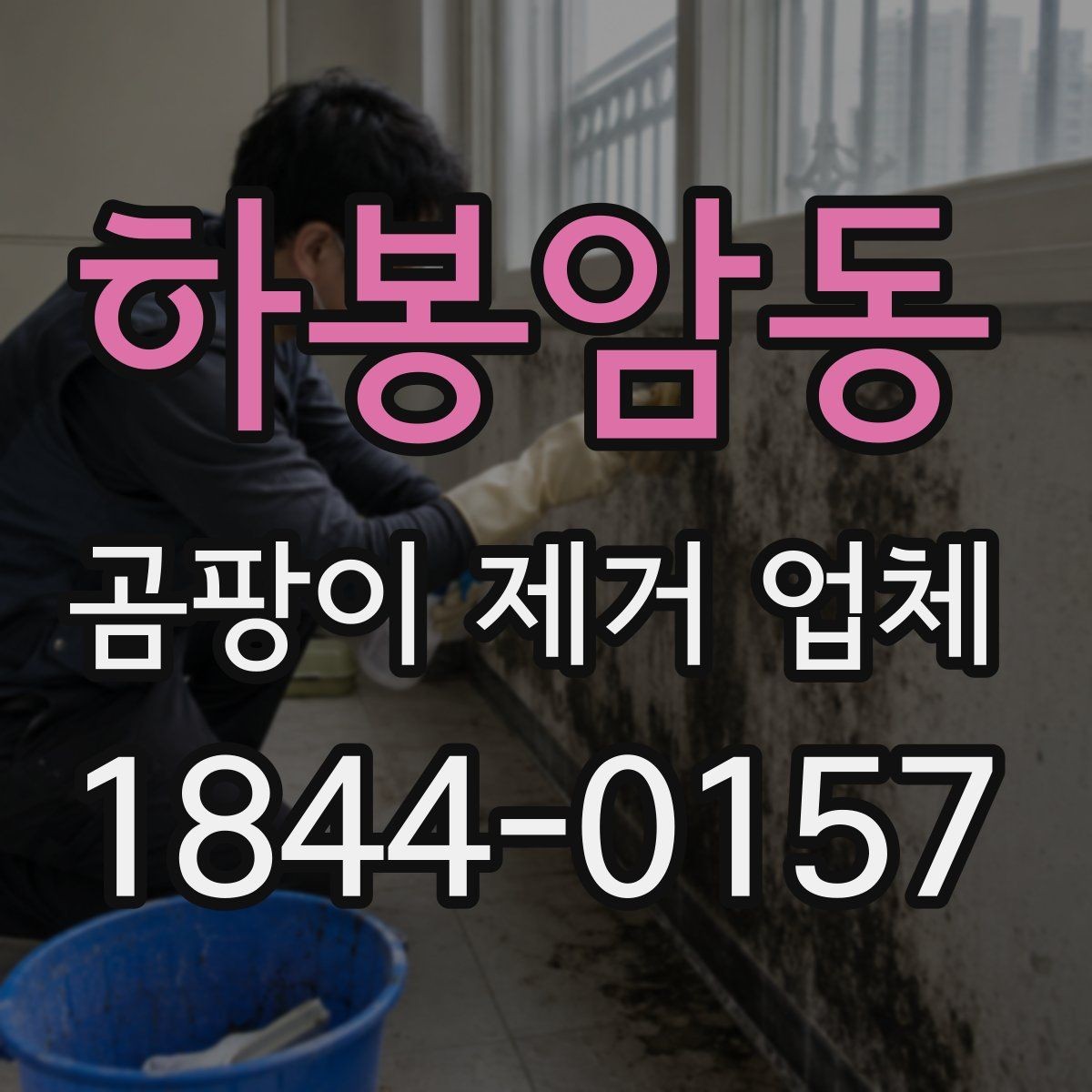하봉암동 곰팡이 제거 업체 오염 부위별 제거 계획 세우는 법