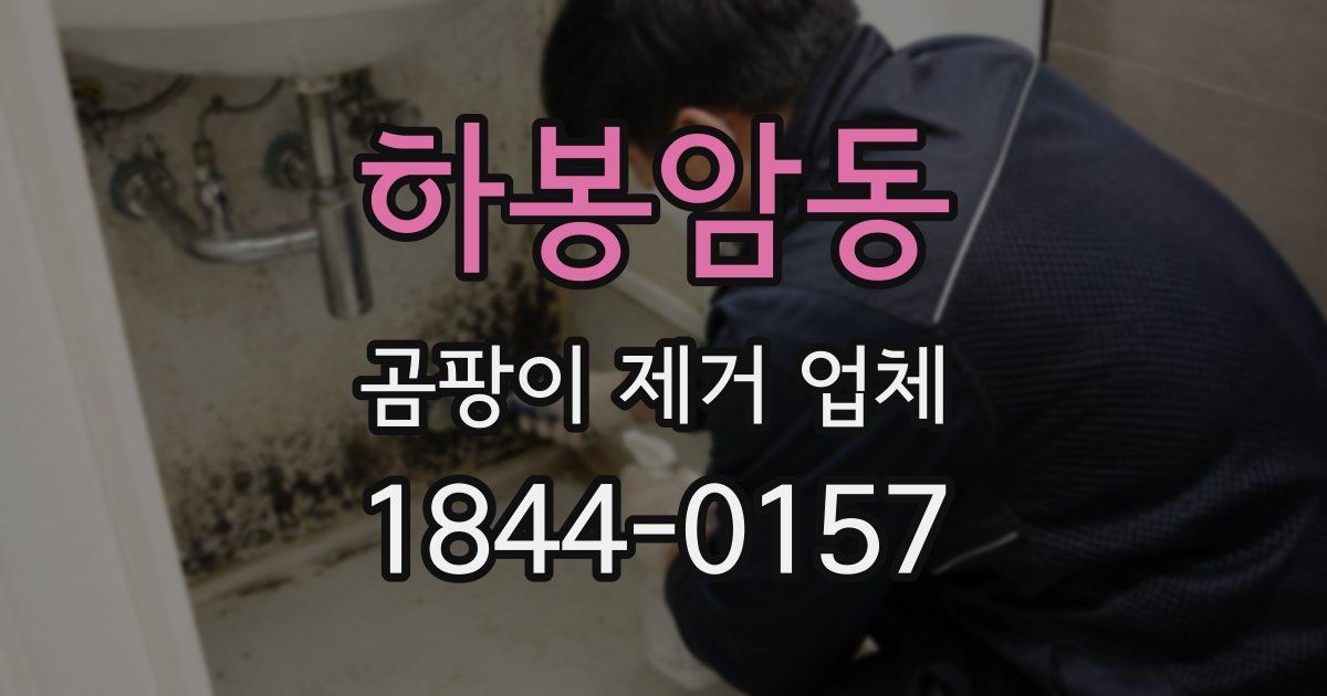 하봉암동 곰팡이 제거 업체