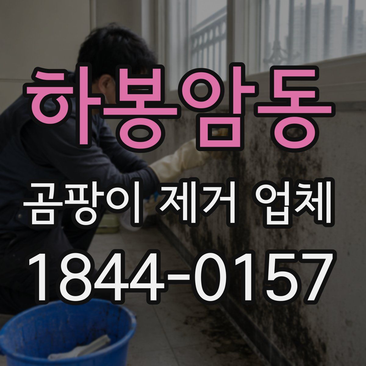 하봉암동 곰팡이 제거 업체