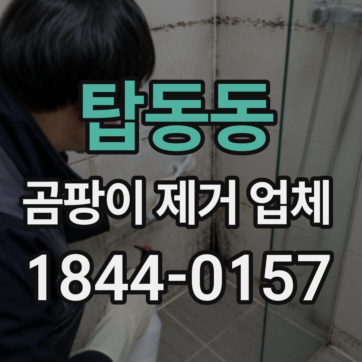 탑동동 곰팡이 제거 업체