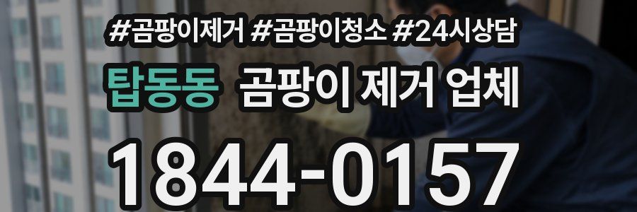 탑동동 곰팡이 제거 업체