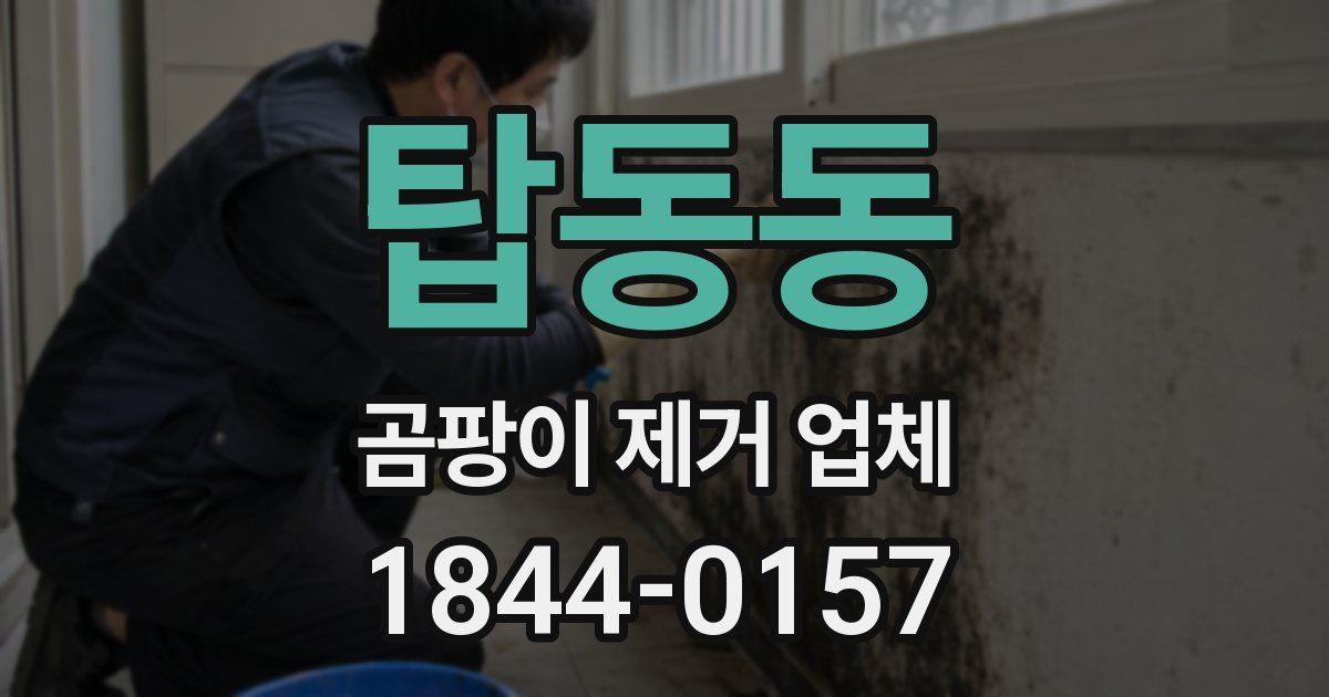 탑동동 곰팡이 제거 업체
