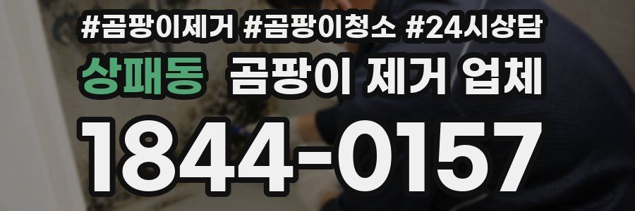 상패동 곰팡이 제거 업체