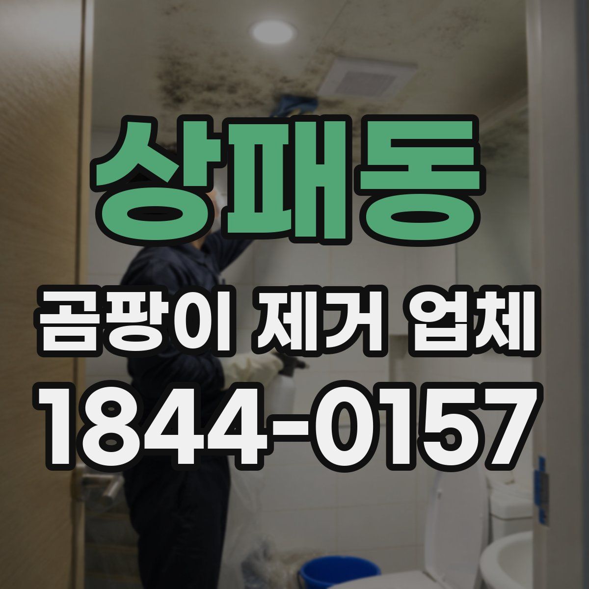 상패동 곰팡이 제거 업체