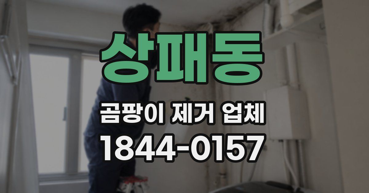 상패동 곰팡이 제거 업체