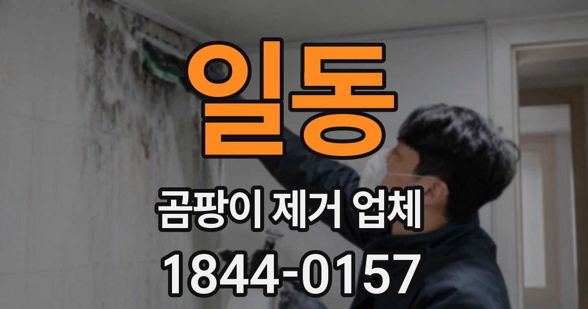 일동 곰팡이 제거 업체