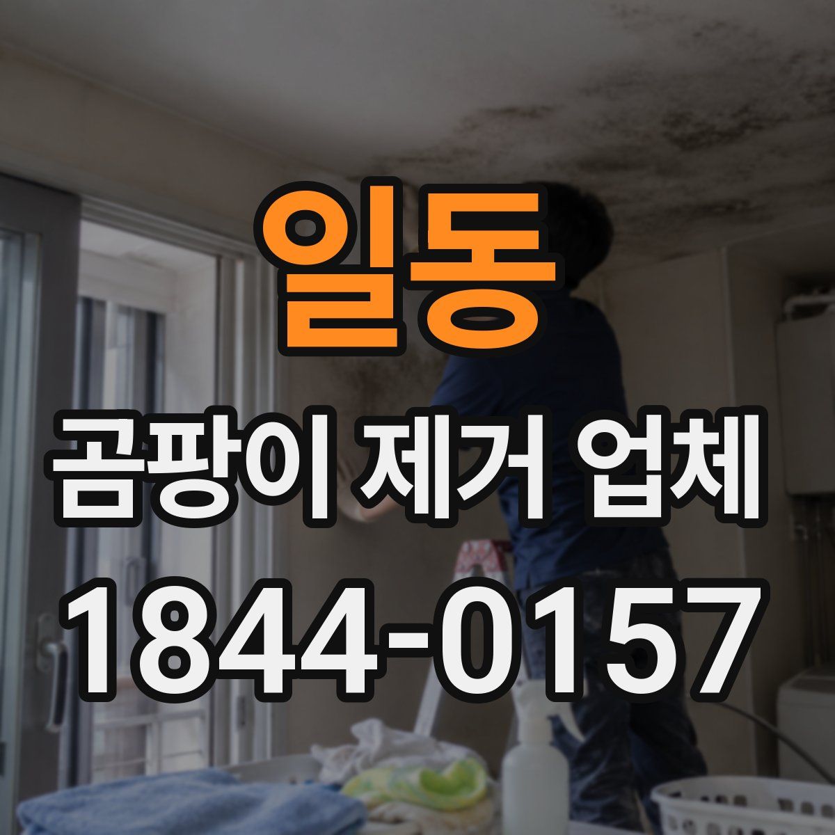 일동 곰팡이 제거 업체