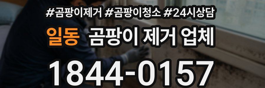 일동 곰팡이 제거 업체