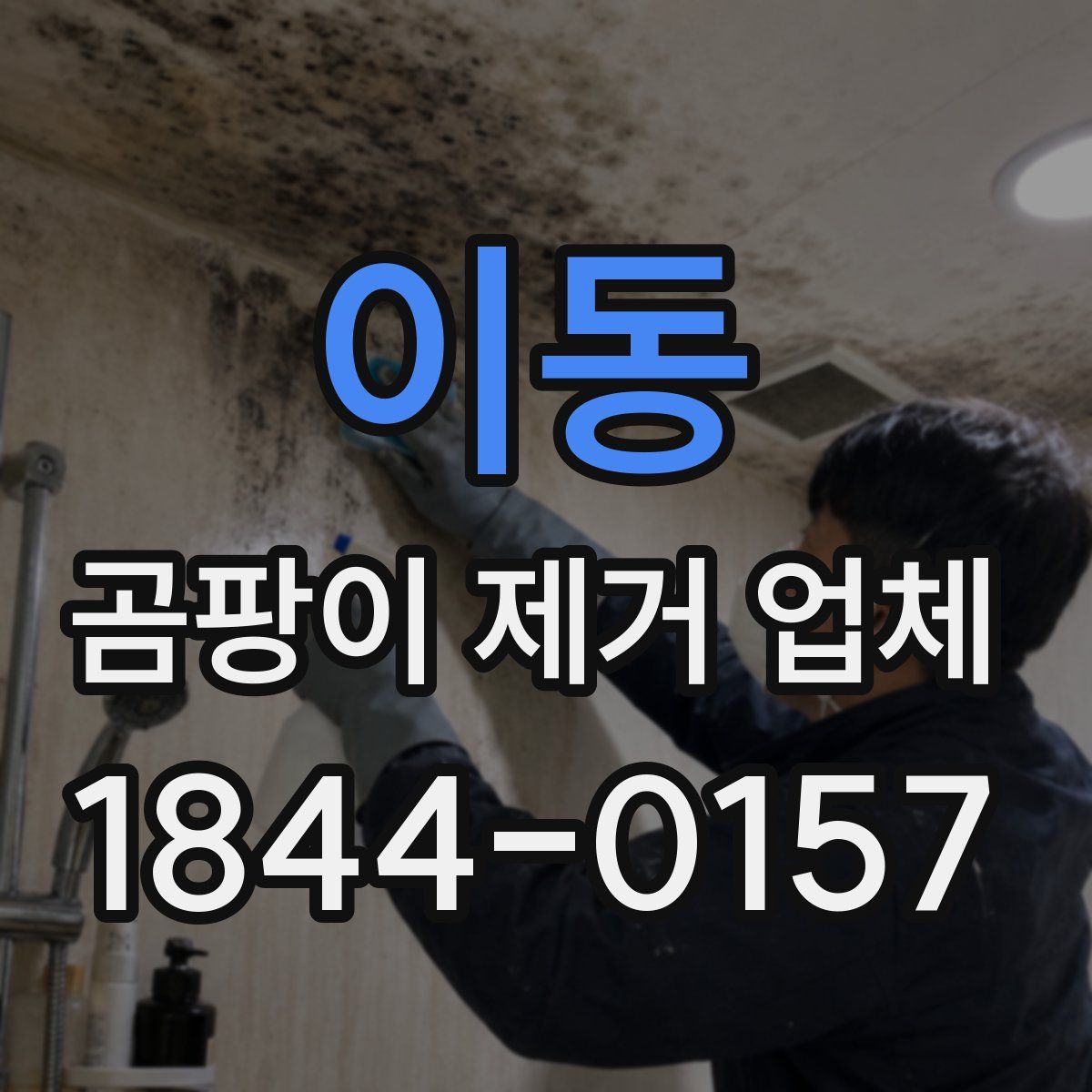 이동 곰팡이 제거 업체